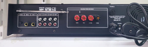 Amplificador RADSON 1200M-USB