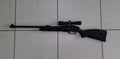 Rifle Gamo Black Bear IGT 5.5